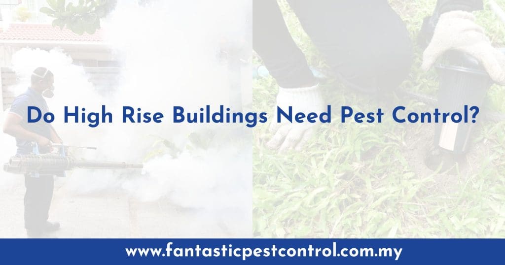 Pest Control In High-Rise Buildings Pest Control In High-Rise Buildings