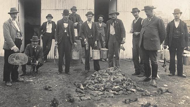Pest Control In Historical Sites