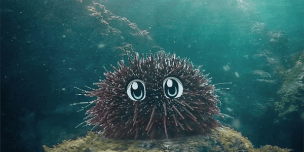 Pest Control In Marine Environments Pest Control In Marine Environments