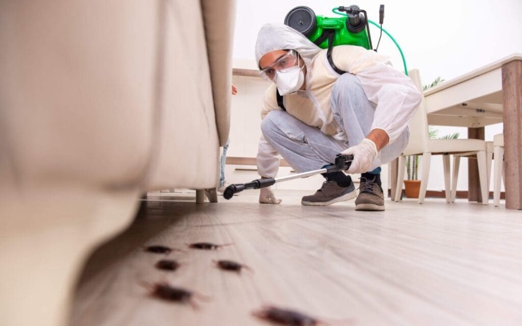 Pest Control In Multi-Story Apartments