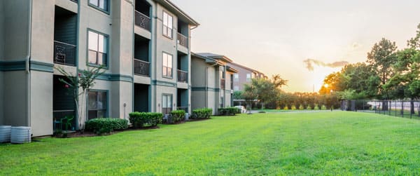 Pest Control In Multi-Story Apartments