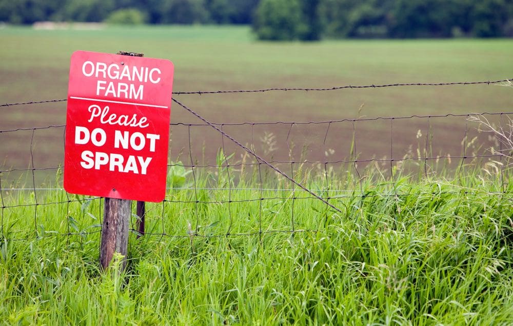 Pest Control In Organic Farming
