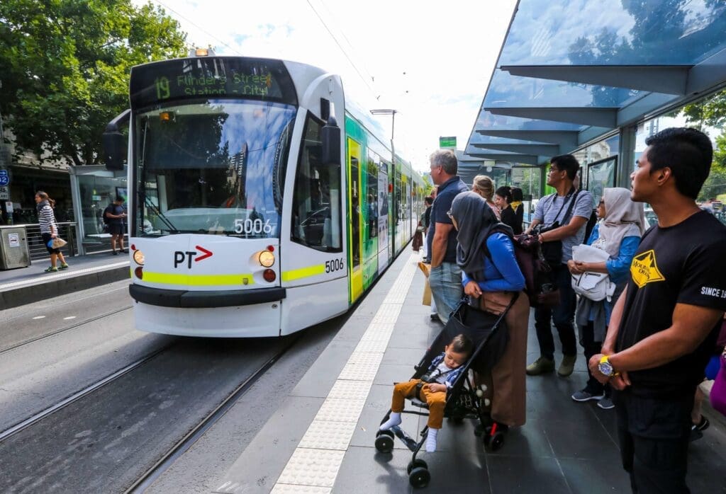 Pest Control In Public Transportation