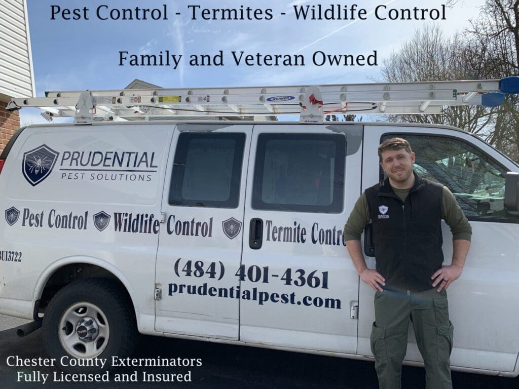 Pest Control In Religious Institutions Pest Control In Religious Institutions