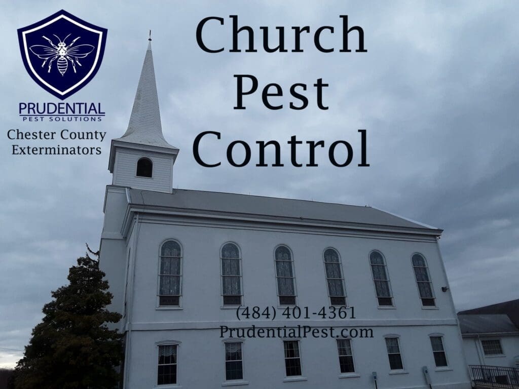 Pest Control In Religious Institutions Pest Control In Religious Institutions