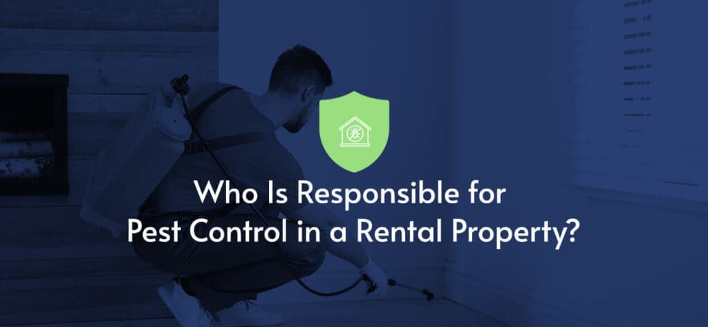Pest Control In Rental Properties: Landlord Vs. Tenant Responsibilities Pest Control In Rental Properties: Landlord Vs. Tenant Responsibilities