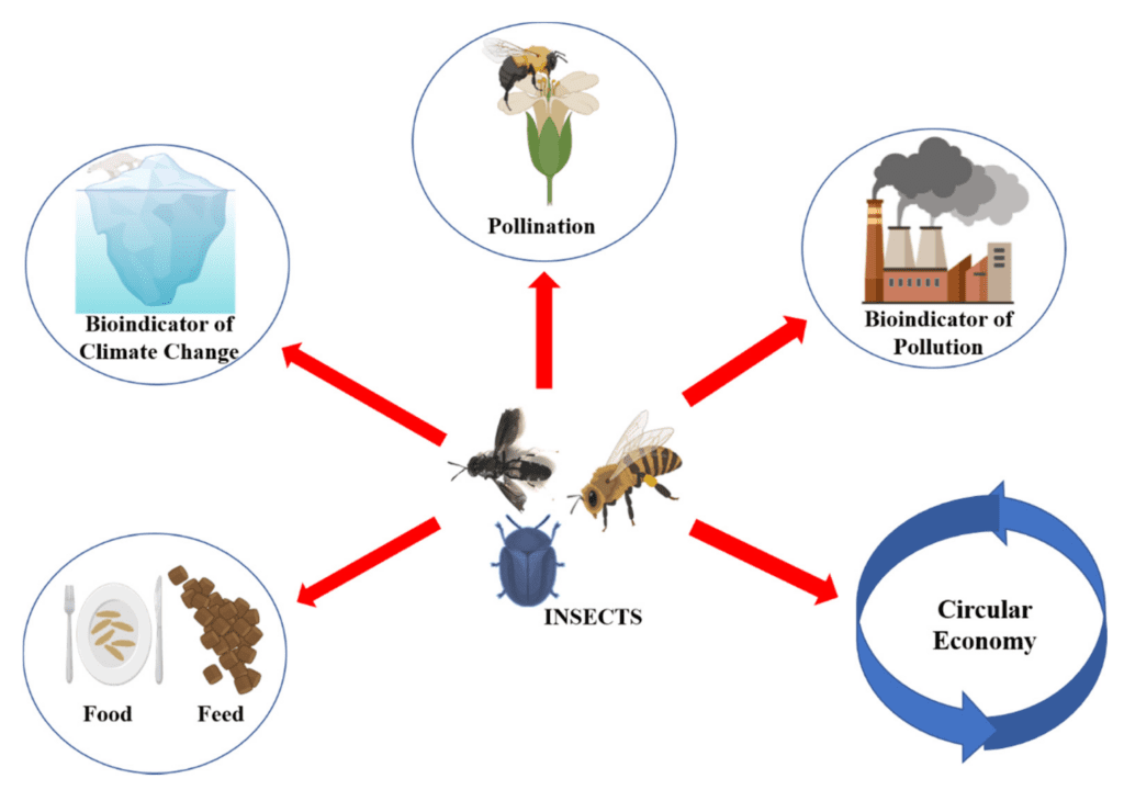 Pest Control In The Cosmetics Industry Pest Control In The Cosmetics Industry