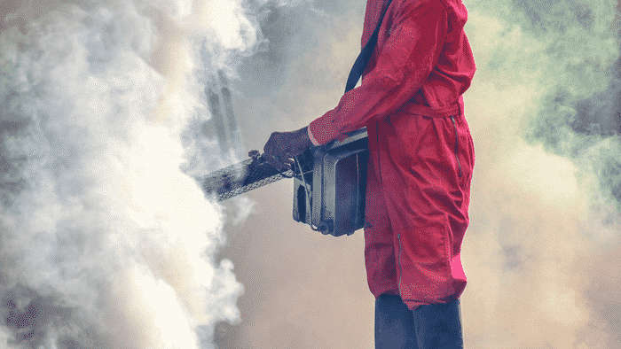 Pest Control In The Maritime Industry