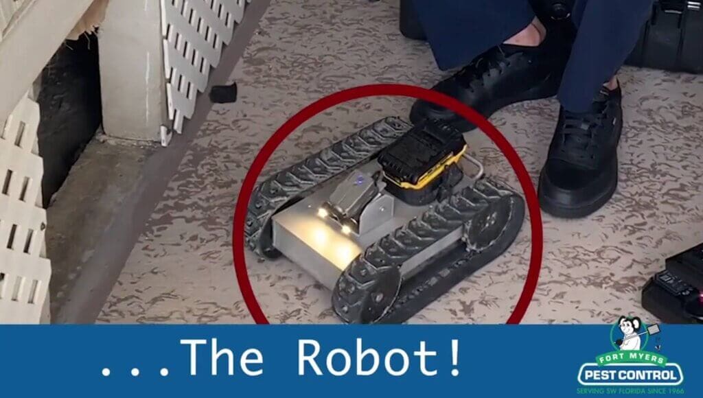 Pest Control In The World Of Robotics Pest Control In The World Of Robotics