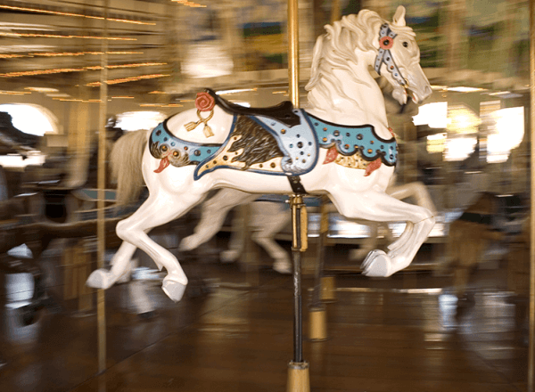 Pest Control In Theme Parks And Recreational Facilities Pest Control In Theme Parks And Recreational Facilities