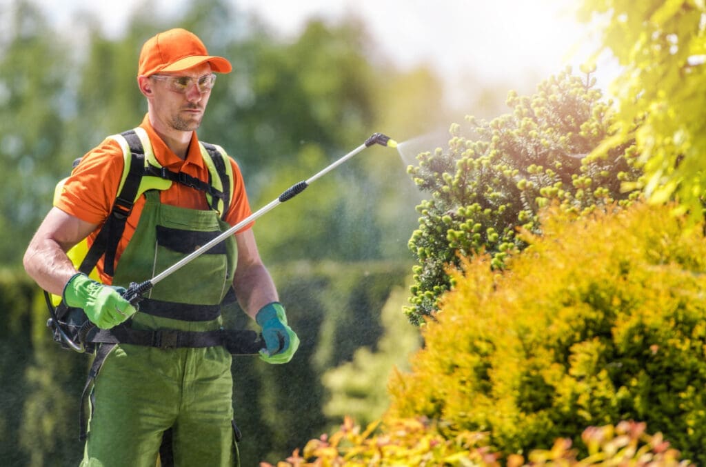 Pest Control In Urban Gardens Pest Control In Urban Gardens