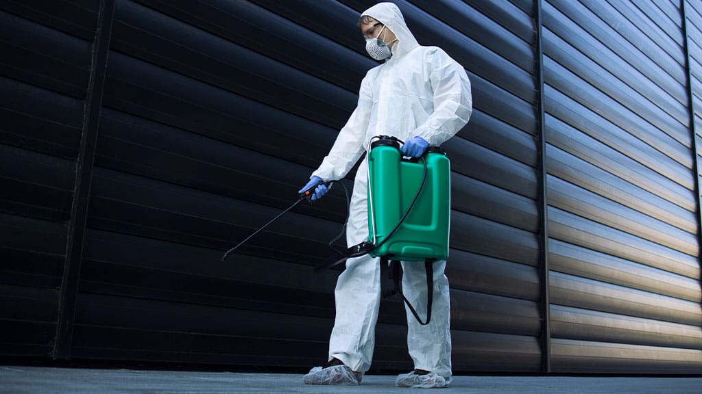 Pest Control In Vacation Homes Pest Control In Vacation Homes
