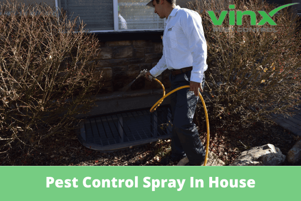 Pest Control Spraying: What Areas In Your House Are Targeted? Pest Control Spraying: What Areas In Your House Are Targeted?
