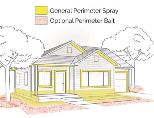 Pest Control Spraying: What Areas In Your House Are Targeted? Pest Control Spraying: What Areas In Your House Are Targeted?