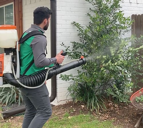Pest Control Spraying: What Areas In Your House Are Targeted? Pest Control Spraying: What Areas In Your House Are Targeted?