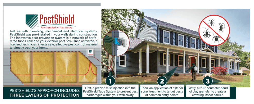 Pest Control Spraying: What Areas In Your House Are Targeted? Pest Control Spraying: What Areas In Your House Are Targeted?