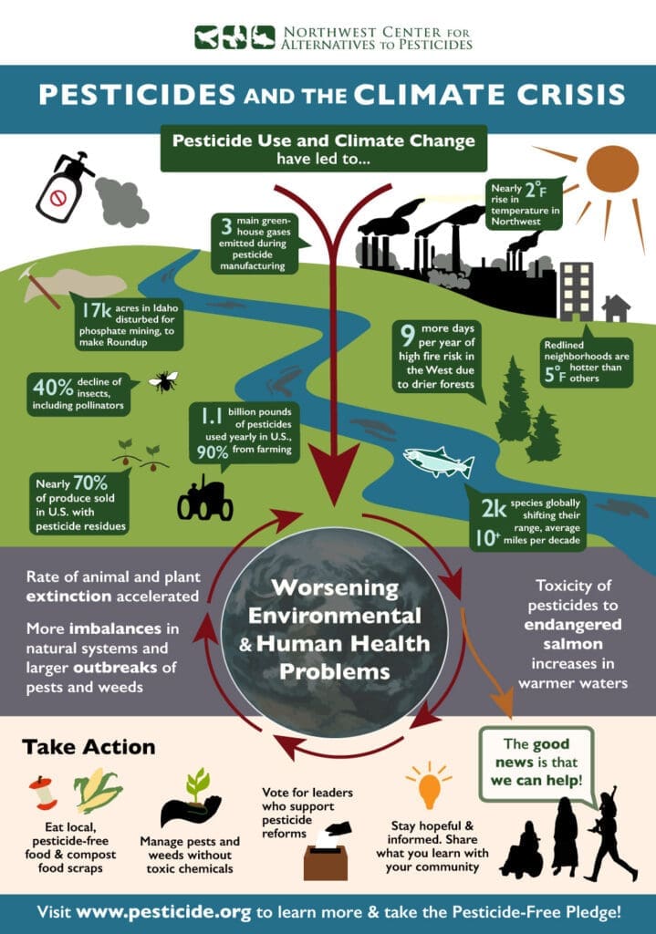 Pests And Public Health: Understanding The Risks