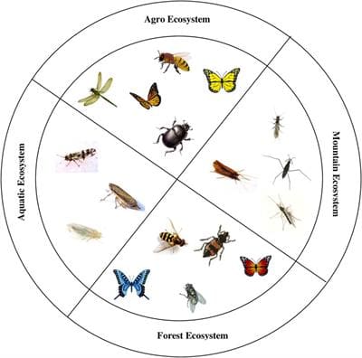 Pests And Their Role In Ecosystems Pests And Their Role In Ecosystems