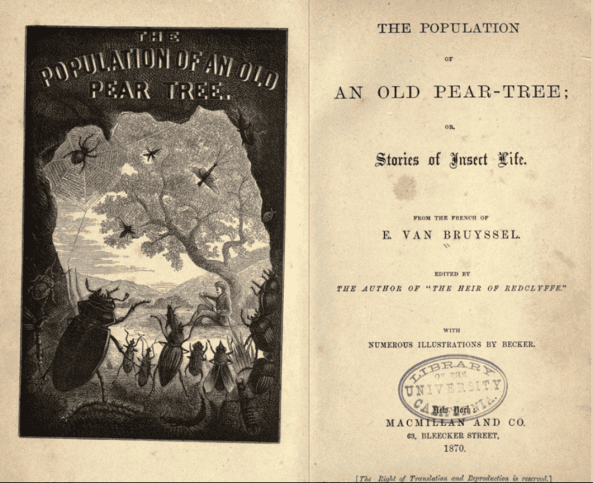 Pests In Literature: From Classics To Modern Tales Pests In Literature: From Classics To Modern Tales