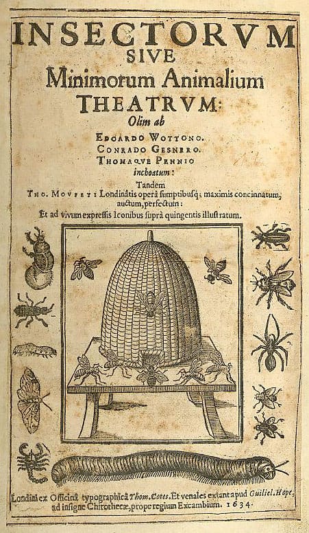 Pests In Literature: From Classics To Modern Tales Pests In Literature: From Classics To Modern Tales