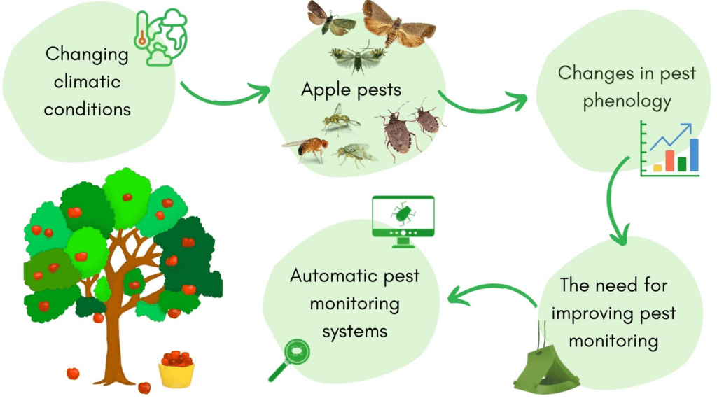 Pests In The Digital Age: How Tech Helps In Pest Control Pests In The Digital Age: How Tech Helps In Pest Control