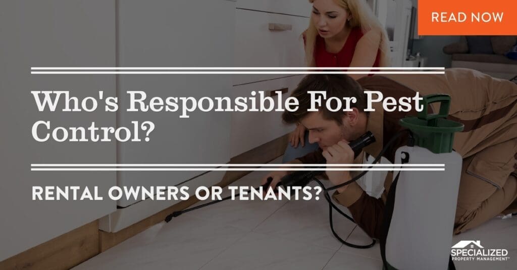 Renting Dilemmas: Whos Responsible For Pest Control?