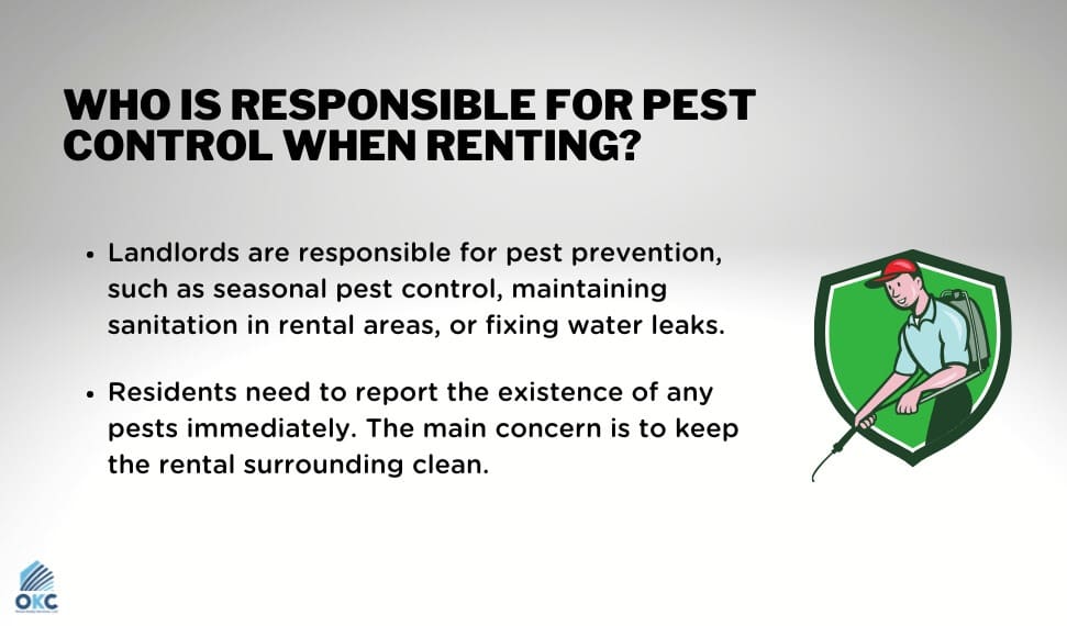 Renting Dilemmas: Whos Responsible For Pest Control?