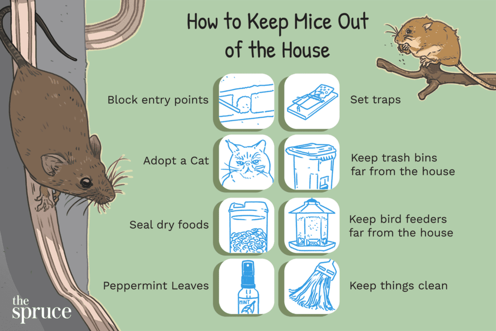 Rodent-Proofing Your Home: A Step-by-Step Guide Rodent-Proofing Your Home: A Step-by-Step Guide