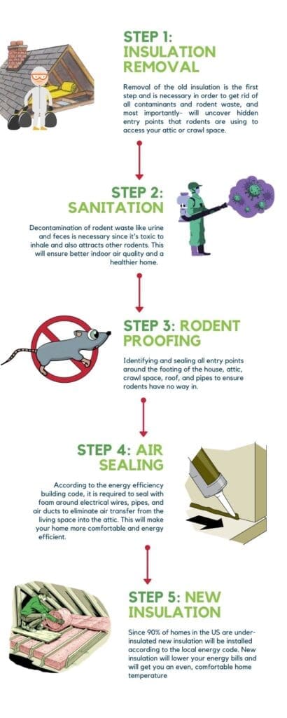 Rodent-Proofing Your Home: A Step-by-Step Guide Rodent-Proofing Your Home: A Step-by-Step Guide