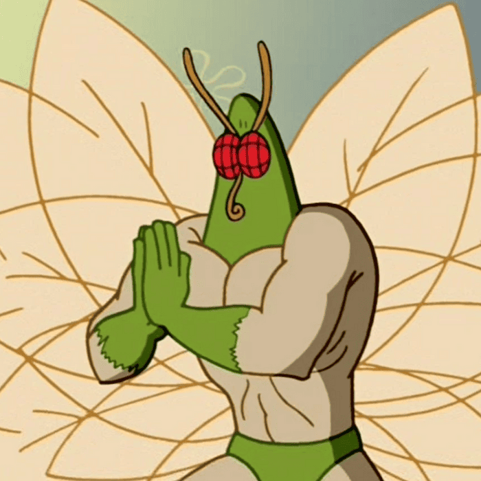 The Art Of Natural Moth Deterrence The Art Of Natural Moth Deterrence