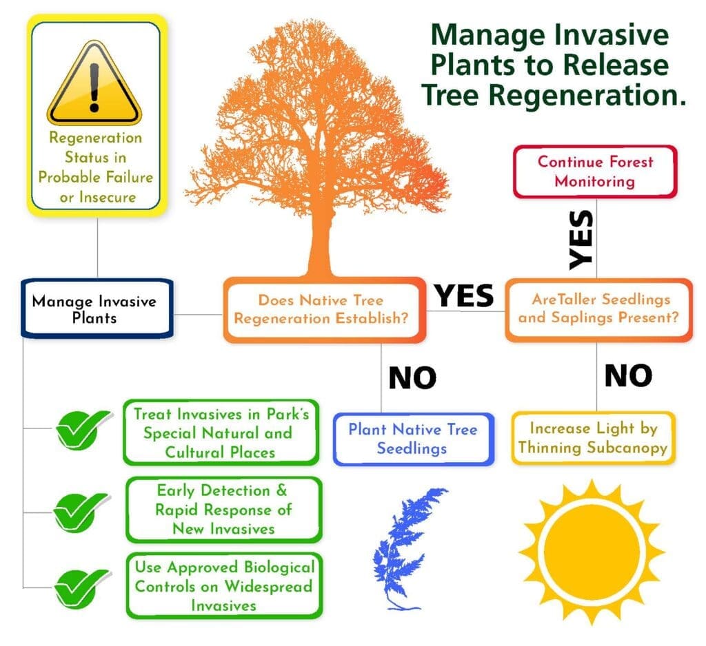 The Challenge Of Managing Invasive Pest Species The Challenge Of Managing Invasive Pest Species