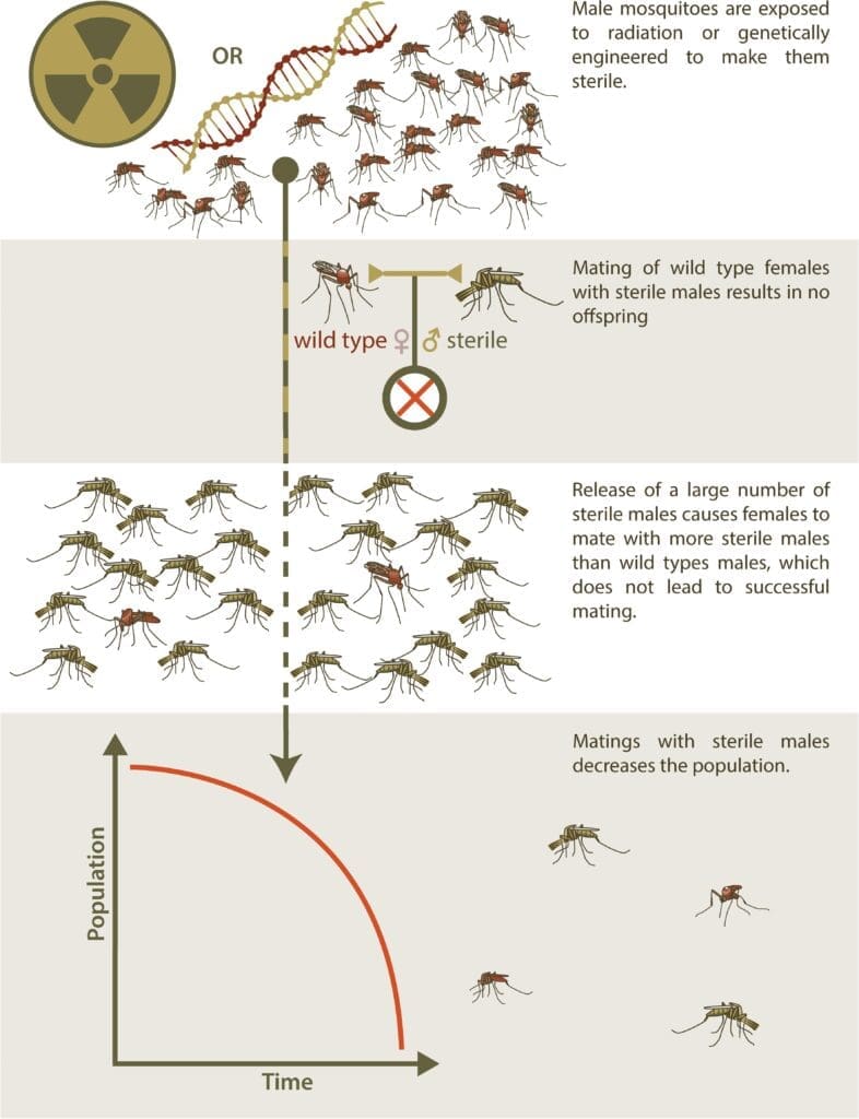 The Challenge Of Managing Invasive Pest Species The Challenge Of Managing Invasive Pest Species