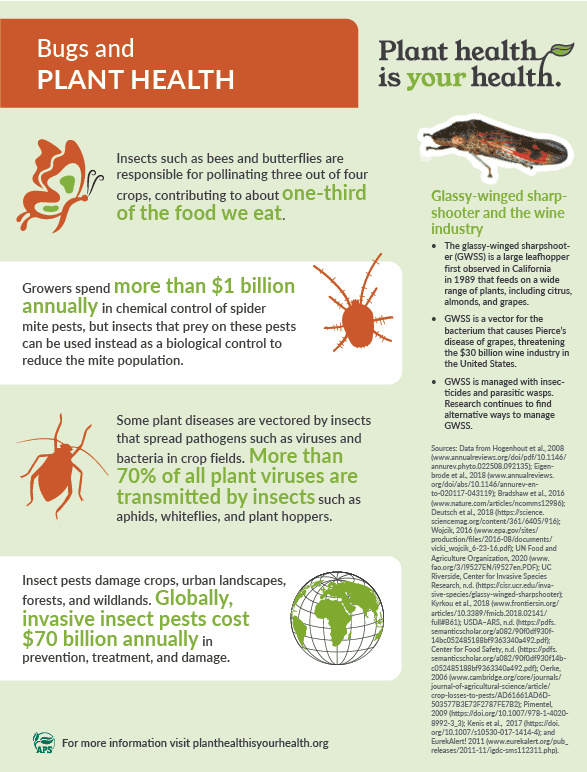 The Cultural Significance Of Pests The Cultural Significance Of Pests