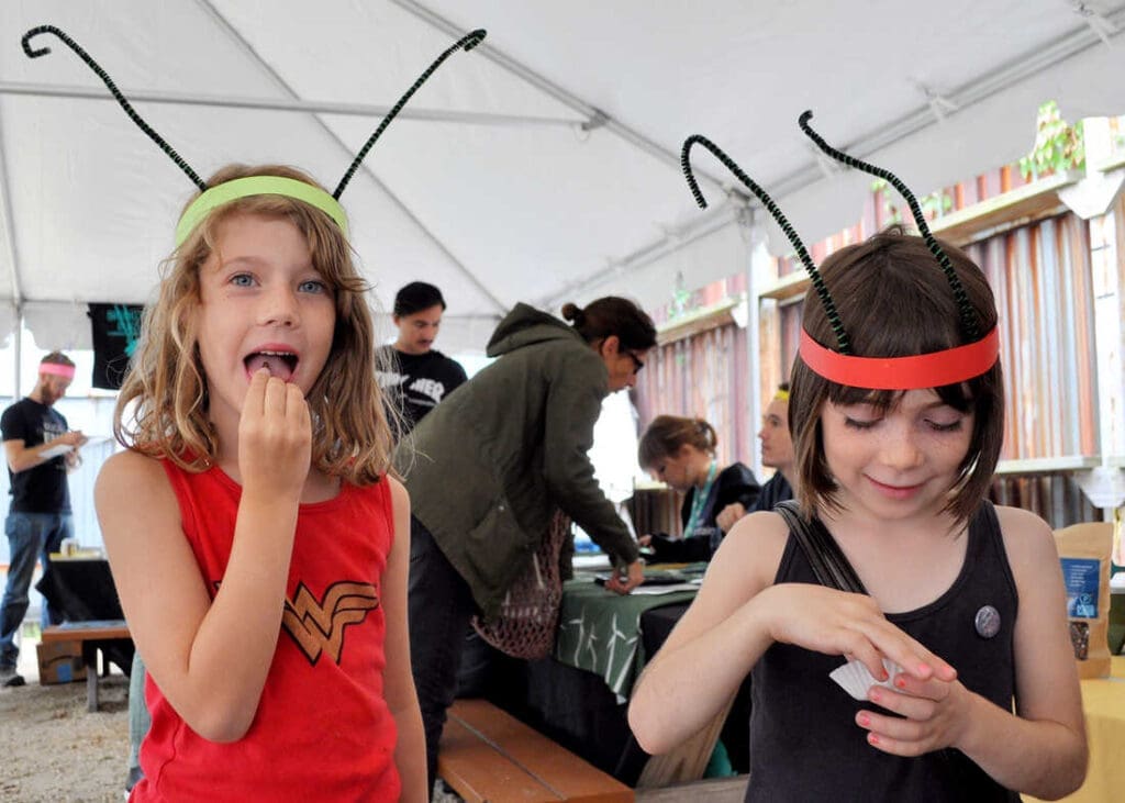 The Cultural Significance Of Pests In Festivals The Cultural Significance Of Pests In Festivals
