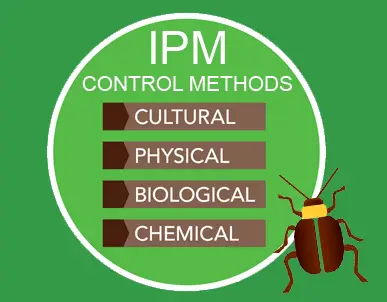 The Cultural Significance Of Pests The Cultural Significance Of Pests