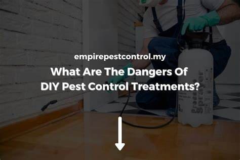 The Dangers Of DIY Pest Control: What You Should Know