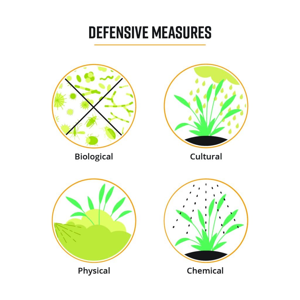 The Economic Impact Of Pests On Agriculture