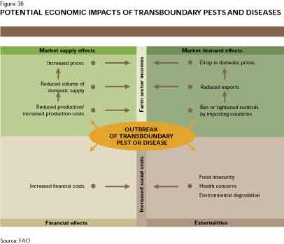 The Economic Impact Of Pests On Agriculture