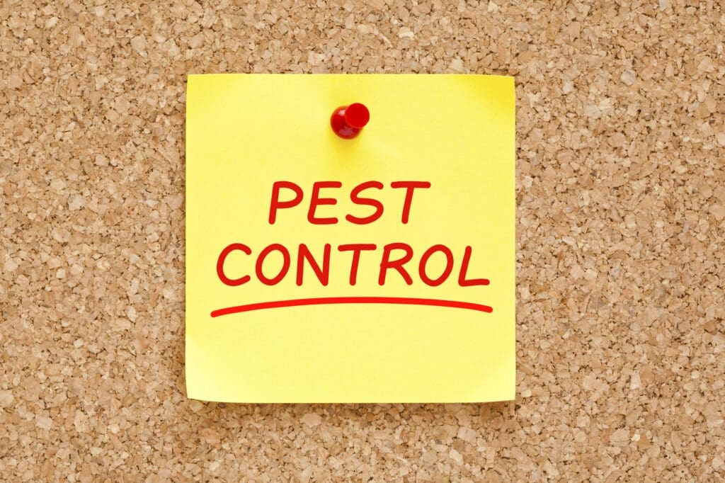 The Essential Guide To Safe Pest Control For Households With Children The Essential Guide To Safe Pest Control For Households With Children