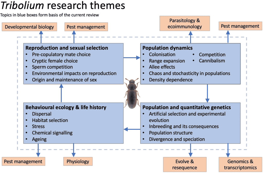 The Evolution Of Pests: A Historical Perspective