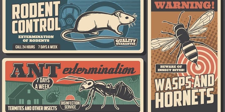 The Evolution Of Pests: A Historical Perspective