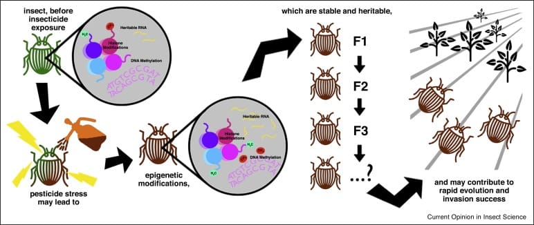 The Evolution Of Pests: How They Adapt And Thrive