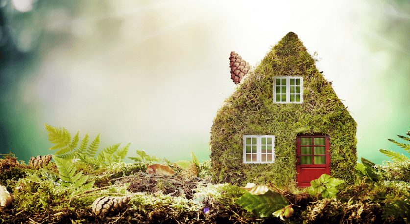 The Future Of Eco-Friendly Pest Control Solutions