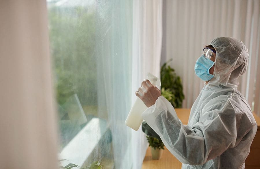 The Future Of Eco-Friendly Pest Control Solutions
