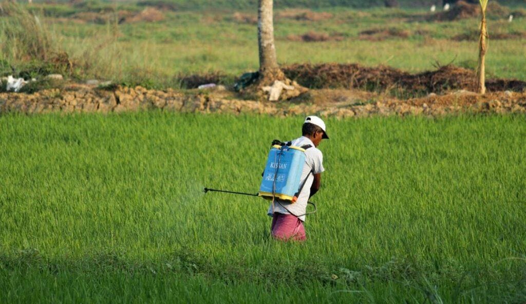 The Future Of Pest Control: Innovations On The Horizon The Future Of Pest Control: Innovations On The Horizon