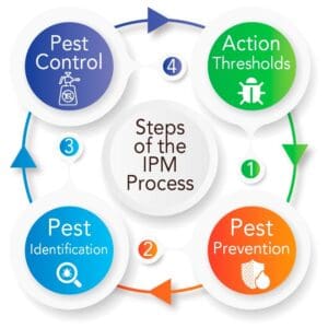The Future Of Pest Control: Predictions And Trends The Future Of Pest Control: Predictions And Trends