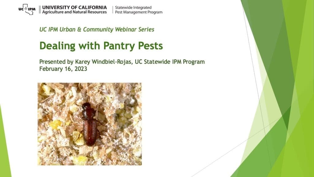 The Hidden World Of Pantry Pests: Prevention And Control The Hidden World Of Pantry Pests: Prevention And Control