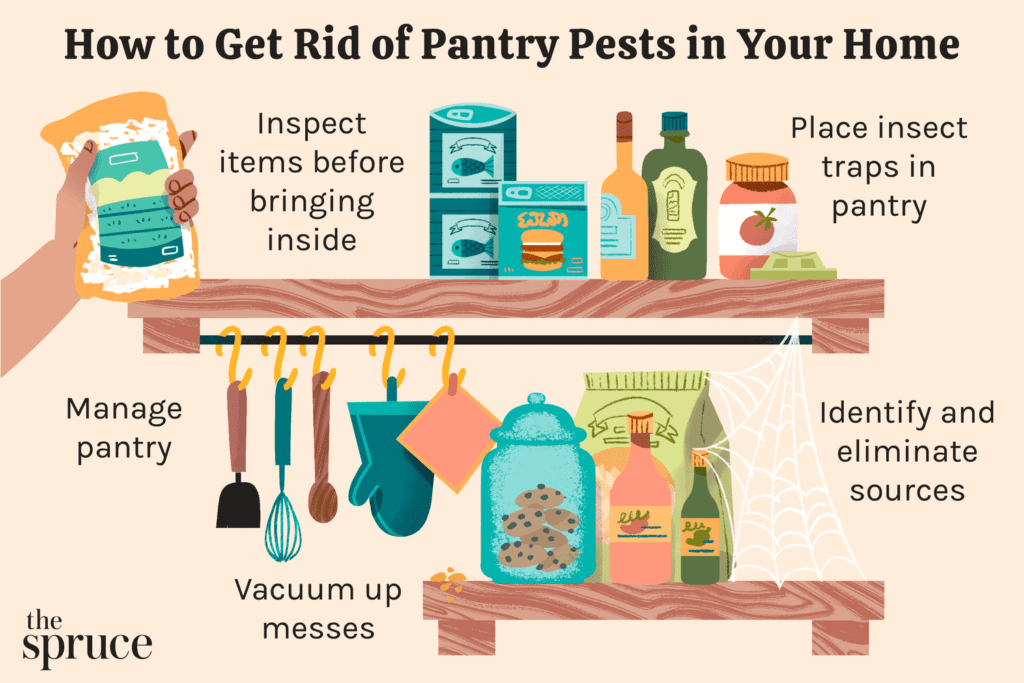 The Hidden World Of Pantry Pests: Prevention And Control The Hidden World Of Pantry Pests: Prevention And Control