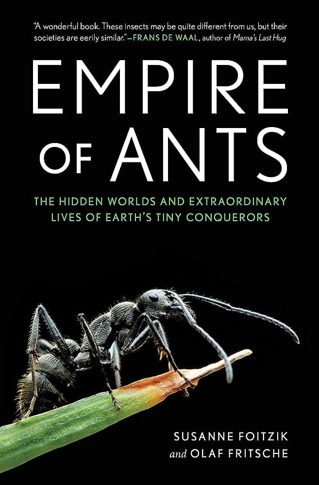 The Hidden World Of Underground Pests The Hidden World Of Underground Pests
