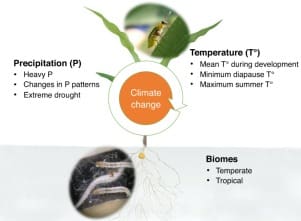 The Impact Of Climate Change On Pest Populations